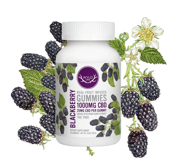 Blackberry Gummies 1000mg (40ct)