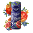 Blueberry Pomegranate 5:1 CBD:CBN Sparkling Beverage 50mg