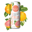 Grapefruit 2:1 CBD:CBG Sparkling Beverage 25mg