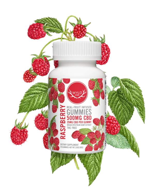 Raspberry Gummies 500mg (20ct)